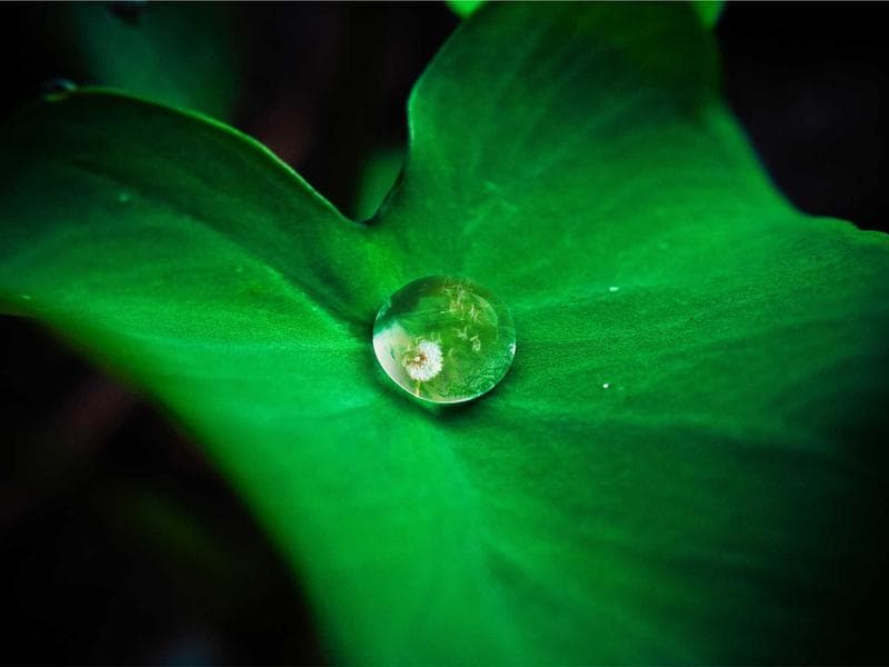 Client Portal Dashboard